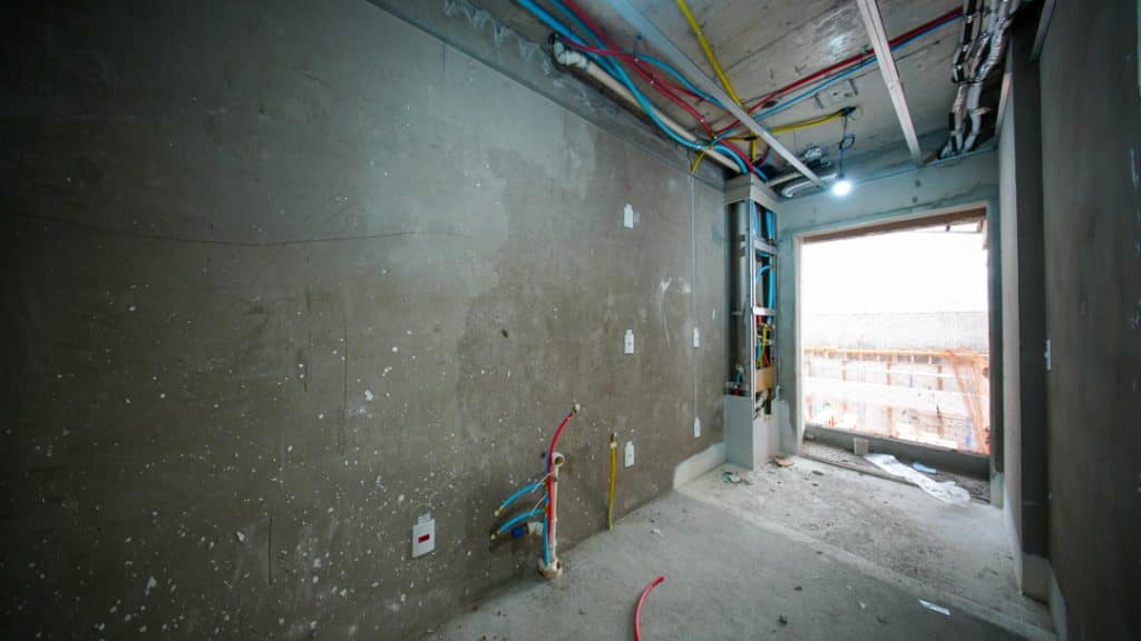 Fotos de Novembro/2024