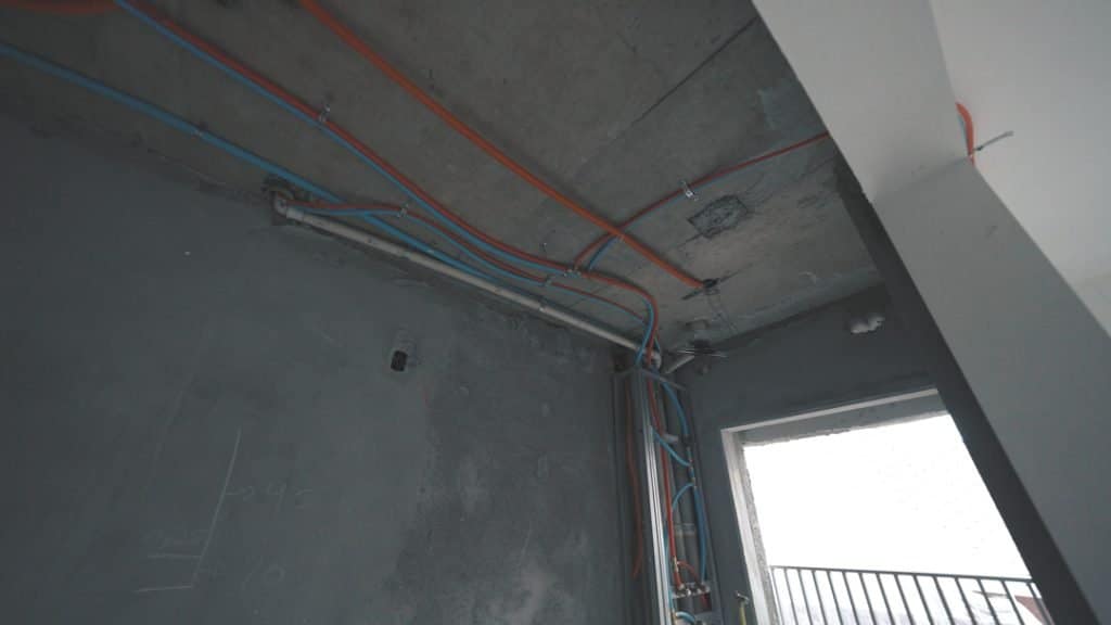 Fotos de Janeiro/2025