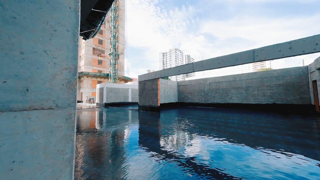 Fotos de Janeiro/2025