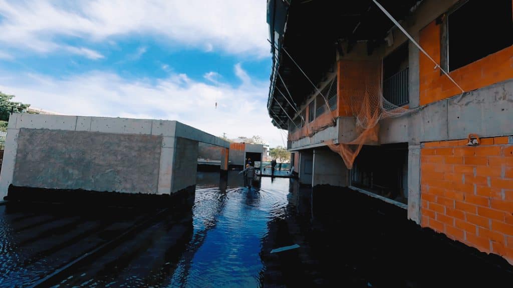 Fotos de Janeiro/2025