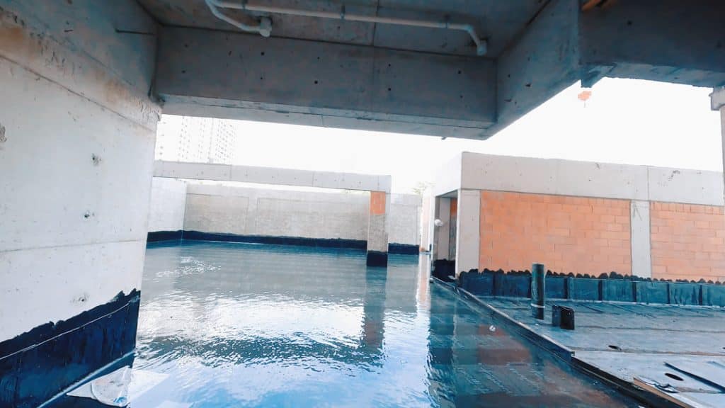 Fotos de Janeiro/2025