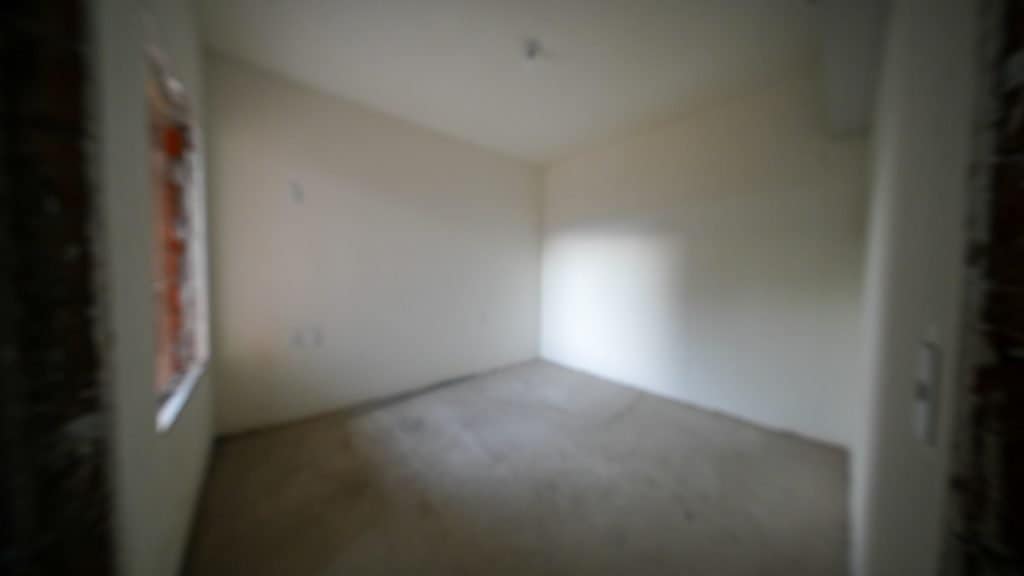 Fotos de Novembro/2024