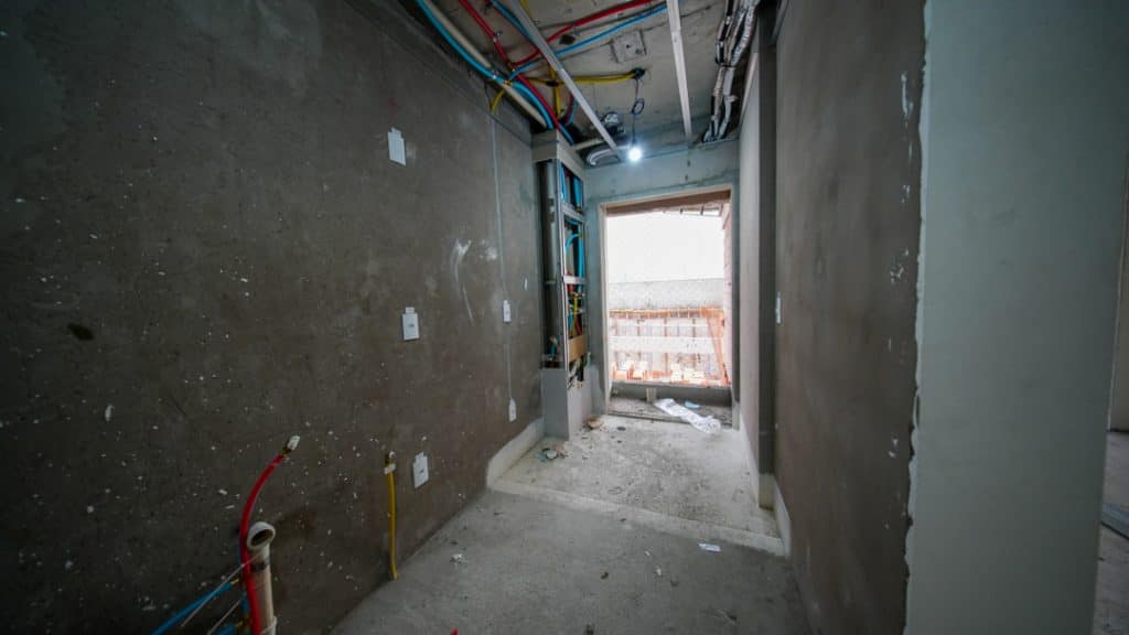 Fotos de Novembro/2024