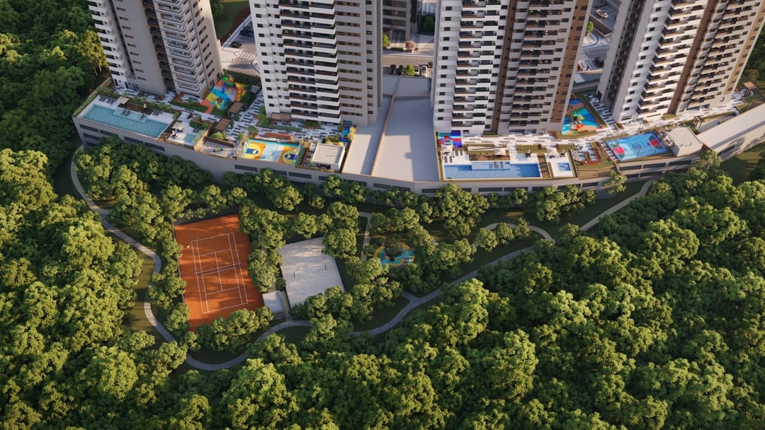 Voo do pássaro bosque privativo